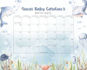 260 Under the Sea Baby Shower Calendar 10x8: 260 Under the Sea Baby Shower Calendar