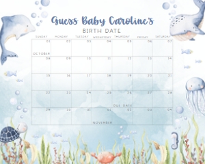 260 Under the Sea Baby Shower Calendar 20x16: 260 Under the Sea Baby Shower Calendar