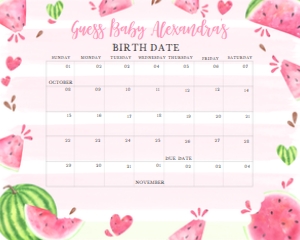 266 Pink Watermelon Baby Shower Calendar 20x16: 266 Pink Watermelon Baby Shower Calendar