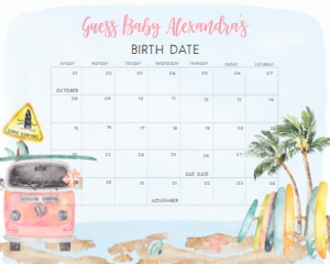 272 Pink Baby on Board Baby Shower Calendar 20x16: 272 Pink Baby on Board Baby Shower Calendar