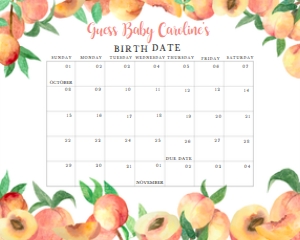 275 Peaches Baby Shower Calendar 10x8: 275 Peaches Baby Shower Calendar