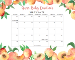 275 Peaches Baby Shower Calendar 20x16: 275 Peaches Baby Shower Calendar
