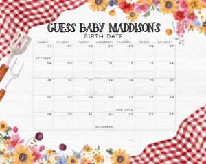 276 Barbeque Baby Shower Calendar 20x16: 276 Barbeque Baby Shower Calendar