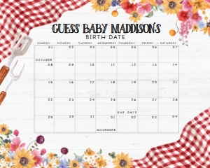 276 Barbeque Baby Shower Calendar 10x8: 276 Barbeque Baby Shower Calendar