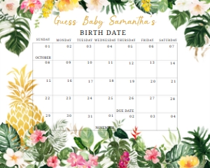 277 Aloha Pineapple Baby Shower Calendar 10x8: 277 Aloha Pineapple Baby Shower Calendar
