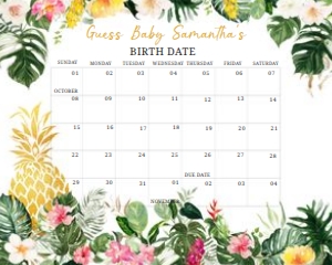 277 Aloha Pineapple Baby Shower Calendar 20x16: 277 Aloha Pineapple Baby Shower Calendar