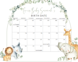 282 Safari Baby Shower Calendar 10x8: 282 Safari Baby Shower Mega Bundle