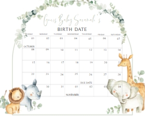 282 Safari Baby Shower Calendar 20x16: 282 Safari Baby Shower Mega Bundle