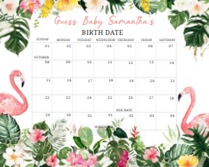 305 Flamingo Baby Shower Calendar 20x16: 305 Flamingo Baby Shower Calendar