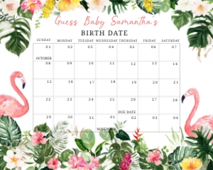 305 Flamingo Baby Shower Calendar 10x8: 305 Flamingo Baby Shower Calendar