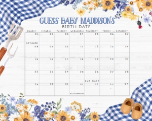 304 Navy Blue Barbeque Baby Shower Calendar 10x8: 304 Navy Blue Barbeque Baby Shower Mega Bundle