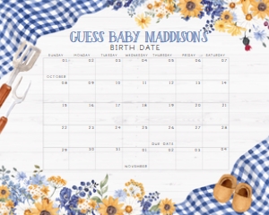 304 Navy Blue Barbeque Baby Shower Calendar 20x16: 304 Navy Blue Barbeque Baby Shower Mega Bundle