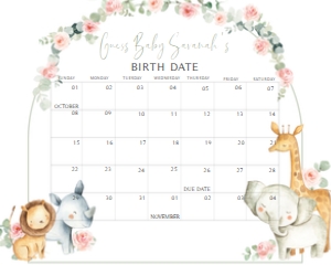 307 Pink Floral Safari Baby Shower Calendar 20x16: 307 Pink Floral Safari Baby Shower Calendar