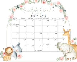 307 Pink Floral Safari Baby Shower Calendar 10x8: 307 Pink Floral Safari Baby Shower Calendar