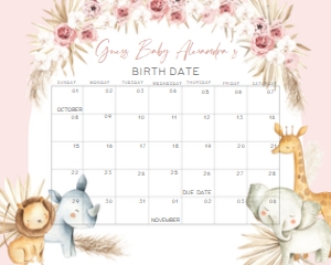 309 Pink Boho Safari Baby Shower Calendar 10x8: 309 Pink Boho Safari Baby Shower Calendar
