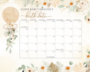310 Boho Balloon Baby Shower Calendar 10x8: 310 Boho Balloon Baby Shower Calendar