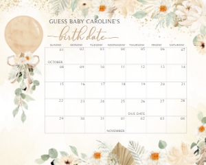 310 Boho Balloon Baby Shower Calendar 20x16: 310 Boho Balloon Baby Shower Calendar