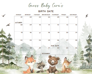496 Let the Adventure Begin Woodland Animals Baby Shower Calendar 10x8: 496 Let the Adventure Begin Woodland Animals Baby Shower Calendar
