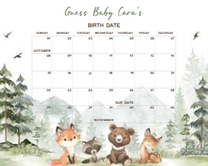 496 Let the Adventure Begin Woodland Animals Baby Shower Calendar 20x16: 496 Let the Adventure Begin Woodland Animals Baby Shower Calendar
