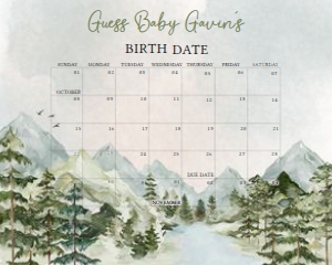 497 Let the Adventure Begin Baby Shower Calendar 20x16: 497 Let the Adventure Begin Baby Shower Calendar