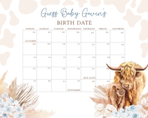 505 Blue Holy Cow Baby Shower Calendar 20x16: 505 Blue Holy Cow Baby Shower Calendar
