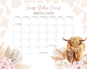 509 Pink Holy Cow Baby Shower Calendar 20x16: 509 Pink Holy Cow Baby Shower Calendar
