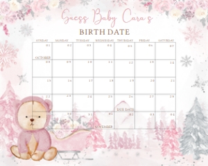 521 Pink Winter Bear Baby Shower Calendar 10x8: 521 Pink Winter Bear Baby Shower Mega Bundle