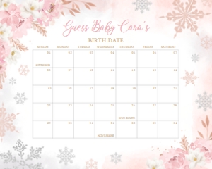 520 Pink Snowflakes Baby Shower Calendar 20x16: 520 Pink Snowflakes Baby Shower Calendar