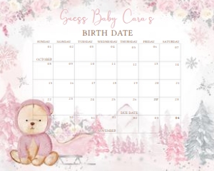 521 Pink Winter Bear Baby Shower Calendar 20x16: 521 Pink Winter Bear Baby Shower Mega Bundle