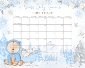 522 Blue Winter Bear Baby Shower Calendar 10x8: 522 Blue Winter Bear Baby Shower Calendar