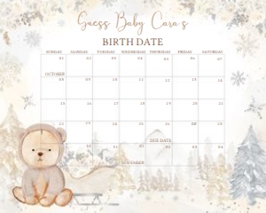 527 White Winter Bear Baby Shower Calendar 20x16: 527 White Winter Bear Baby Shower Calendar