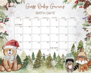 528 Winter Woodland Baby Shower Calendar 10x8: 528 Winter Woodland Baby Shower Calendar