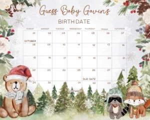 528 Winter Woodland Baby Shower Calendar 20x16: 528 Winter Woodland Baby Shower Calendar