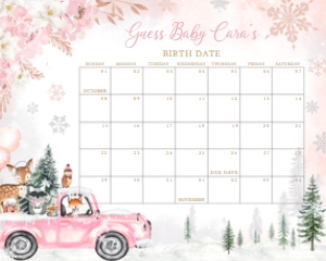 529 Pink Winter Woodland Truck Baby Shower Calendar 10x8: 529 Pink Winter Woodland Truck Baby Shower Mega Bundle
