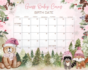 530 Pink Winter Woodland Baby Shower Calendar 10x8: 530 Pink Winter Woodland Baby Shower Calendar
