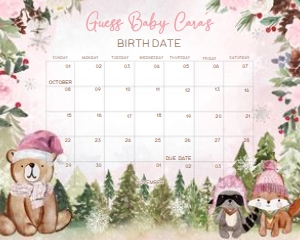 530 Pink Winter Woodland Baby Shower Calendar 20x16: 530 Pink Winter Woodland Baby Shower Calendar