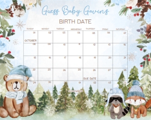 532 Blue Winter Woodland Baby Shower Calendar 10x8: 532 Blue Winter Woodland Baby Shower Calendar