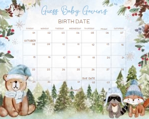 532 Blue Winter Woodland Baby Shower Calendar 20x16: 532 Blue Winter Woodland Baby Shower Calendar