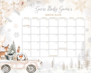 533 White Winter Woodland Truck Baby Shower Calendar 10x8: 533 White Winter Woodland Truck Baby Shower Mega Bundle