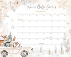 533 White Winter Woodland Truck Baby Shower Calendar 20x16: 533 White Winter Woodland Truck Baby Shower Mega Bundle
