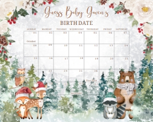 535 Winter Woodland Animals Baby Shower Calendar 10x8: 535 Winter Woodland Animals Baby Shower Calendar