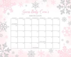 536 Pink Silver Little Snowflake Baby Shower Calendar 10x8: 536 Pink Silver Little Snowflake Baby Shower Mega Bundle