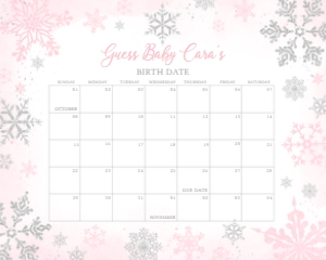 536 Pink Silver Little Snowflake Baby Shower Calendar 20x16: 536 Pink Silver Little Snowflake Baby Shower Mega Bundle