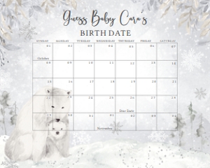 539 Polar Bear Baby Shower Calendar 10x8: 539 Polar Bear Baby Shower Calendar539 Polar Bear Baby Shower Calendar