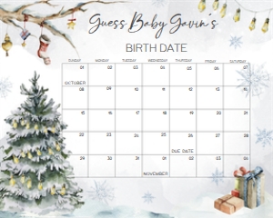 541 Baby it's Cold Outside Pine Tree Baby Shower Calendar 10x8: 541 Baby it's Cold Outside Pine Tree Baby Shower Calendar