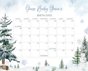 542 Blue Baby its Cold Outside Calendar Baby Shower Calendar 20x16: 542 Blue Baby its Cold Outside Calendar Baby Shower Calendar