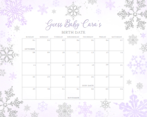 540 Purple Silver Little Snowflake Baby Shower Calendar 20x16: 540 Purple Silver Little Snowflake Baby Shower Calendar