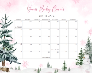 544 Pink Baby its Cold Outside Calendar Baby Shower Calendar 20x16: 544 Pink Baby its Cold Outside Calendar Baby Shower Calendar
