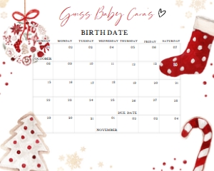 548 Minimalist A Little Bundle of Joy Baby Shower Calendar 20x16: 548 Minimalist A Little Bundle of Joy Baby Shower Calendar