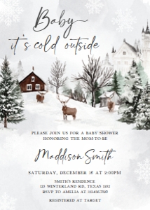 549 Winter Wonderland Baby Shower Invitation: 549 Winter Wonderland Baby Shower Invitation Set